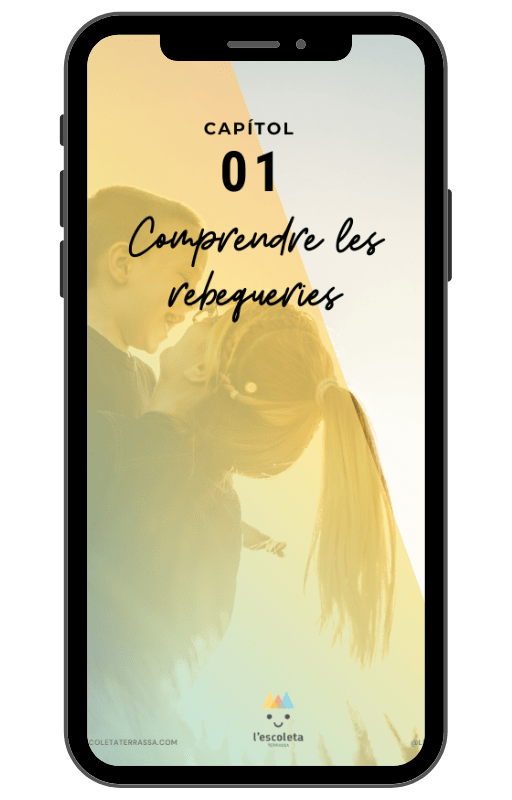 portada ebook rebequeries